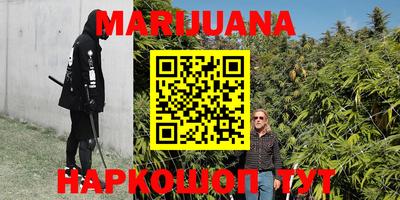 прущие грибы Кунгур