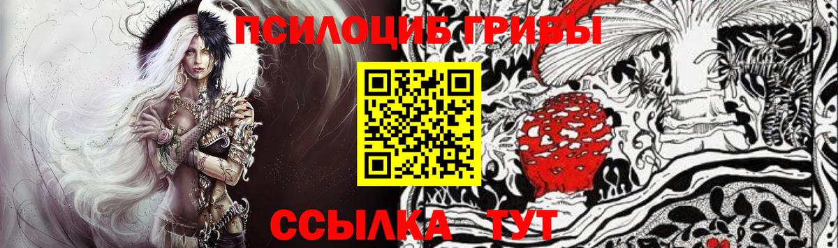Галлюциногенные грибы мухоморы  Вход с VPN  что такое   Губкинский 