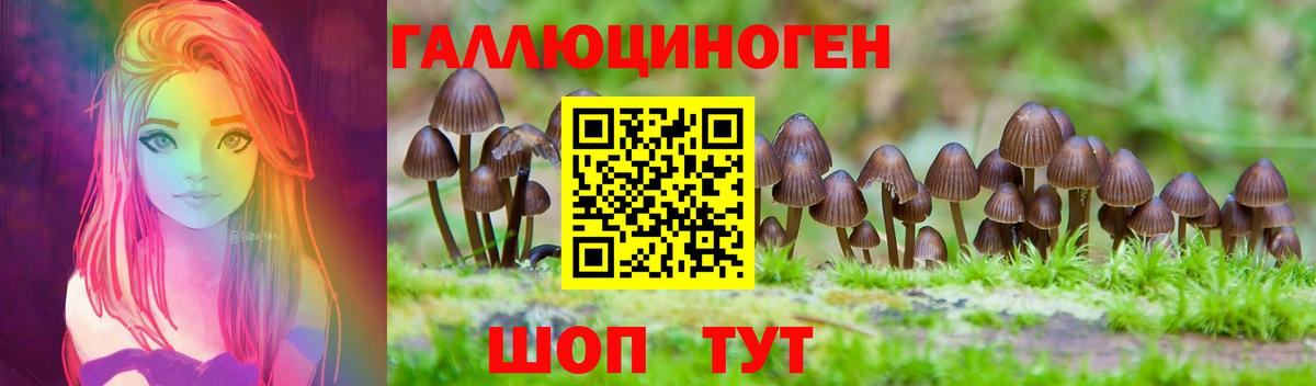 Псилоцибиновые грибы Psilocybine cubensis Губкинский