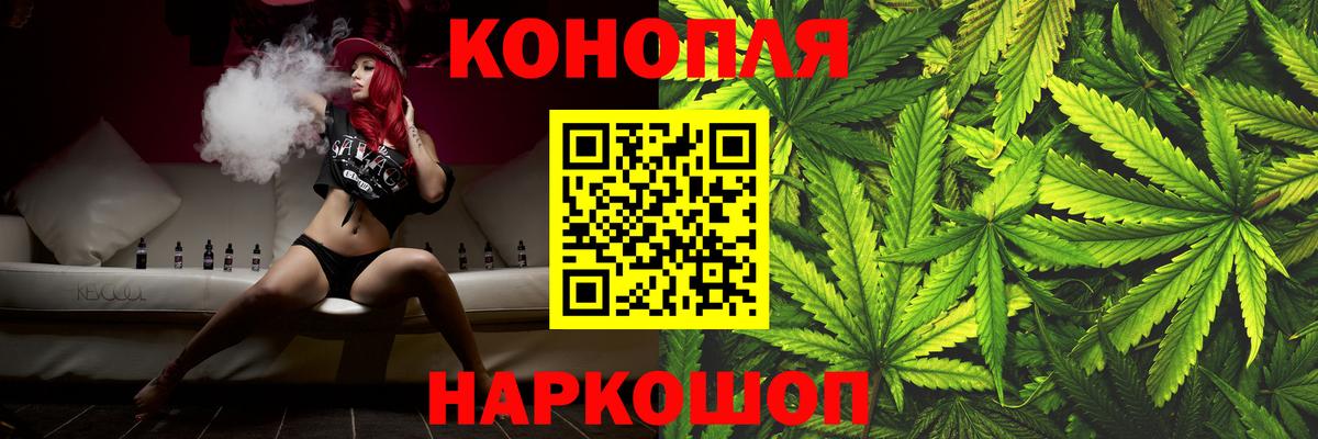 Бошки Шишки MAZAR Губкинский